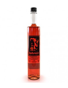 Chouchen Hydromelix Fraise 50cl Fisselier