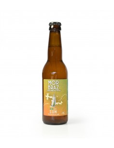 Bière blonde Edenn BIO 33cl