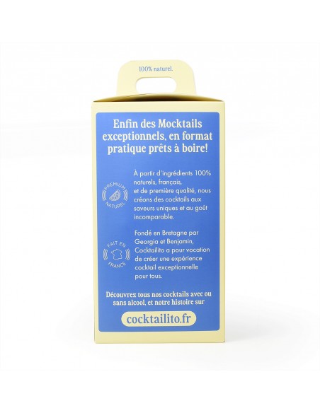 Pack de 4 Virgin Concombre Basilic - cocktailito