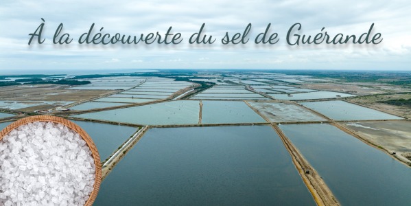 À LA DÉCOUVERTE DU SEL DE GUÉRANDE : PERLE DE L’ATLANTIQUE