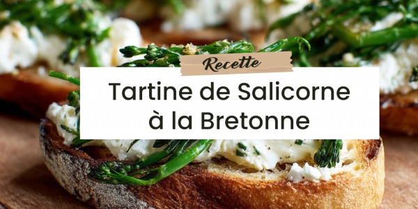 RECETTE TARTINES DE SALICORNES À LA BRETONNE